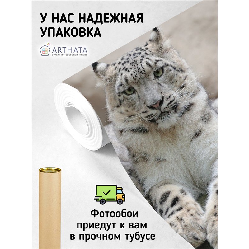 Фотообои снежные барсы на камне для спальни 500х270