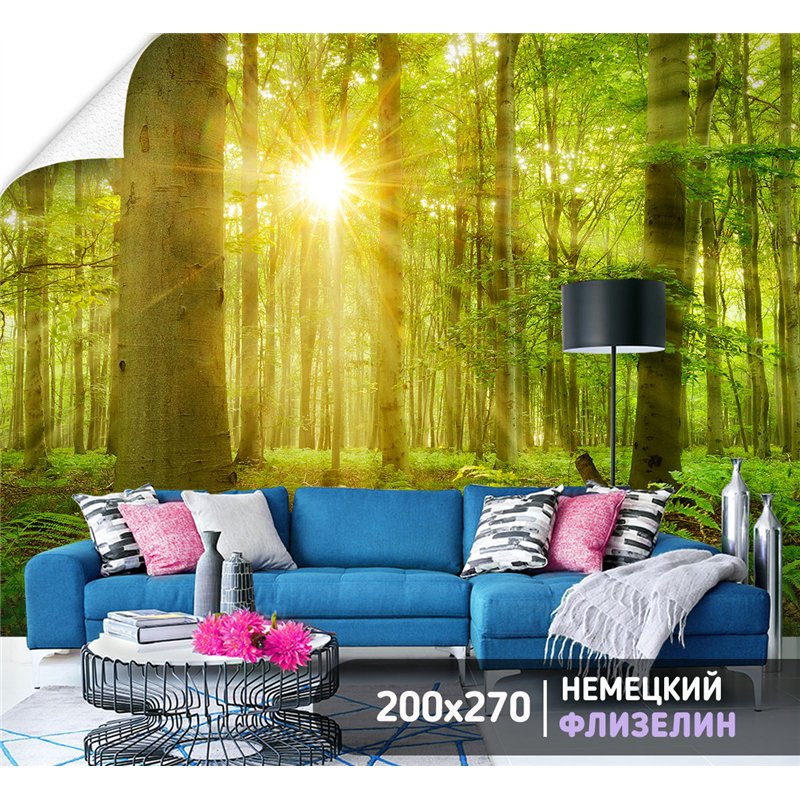 Фотообои лес в солнечных лучах для зал моющиеся 200х270