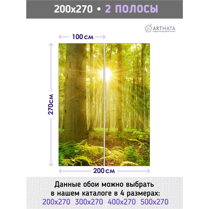 Фотообои лес в солнечных лучах для зал моющиеся 200х270