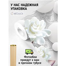 Фотообои с шарами и цветами 3d для зала метровые 500х270