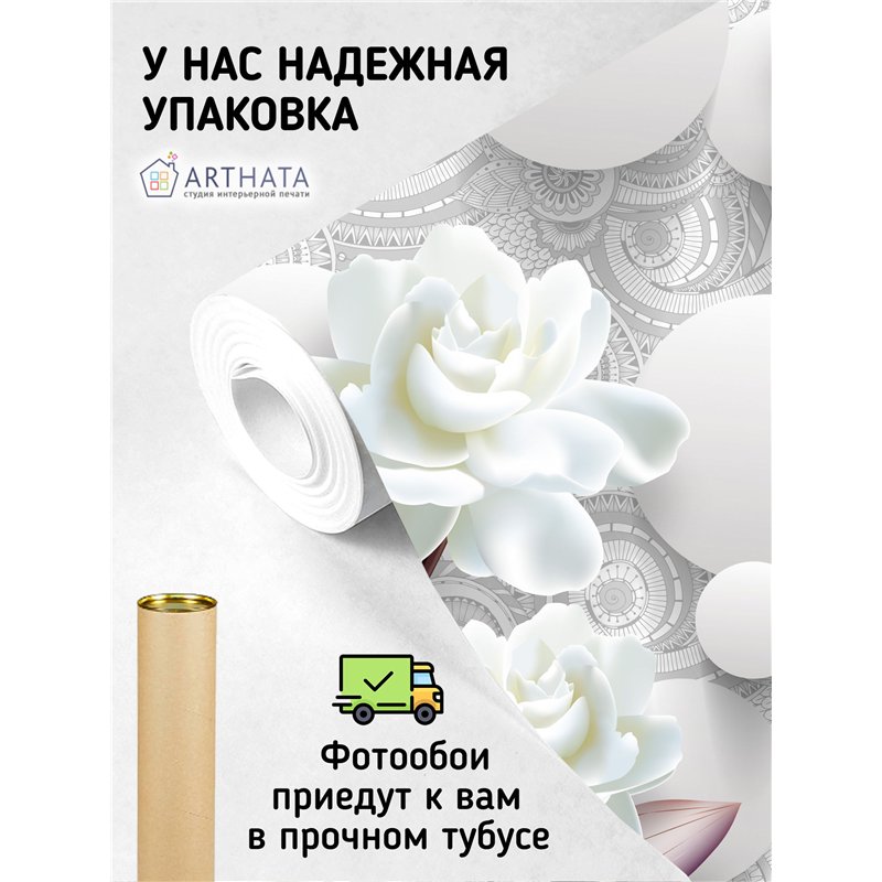 Фотообои с шарами и цветами 3d для зала метровые 500х270