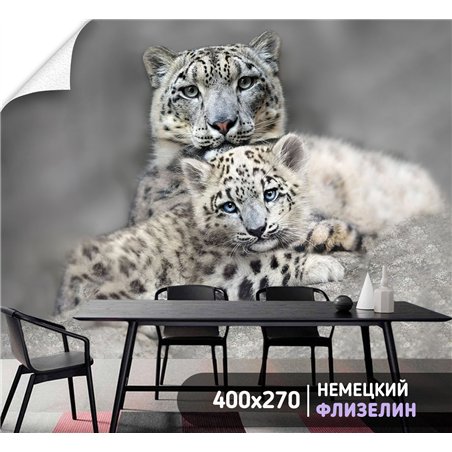 Фотообои снежный барс с детенышем для зала метровые 400х270