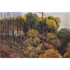 Картина на холсте по фото Модульные картины Печать портретов на холсте Ковальский Иван «Холмистый лес»
