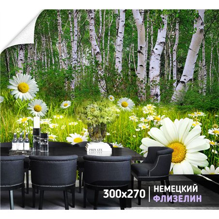 Фотообои ромашки в березовой роще на кухню моющиеся 300х270