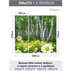 Фотообои ромашки в березовой роще на кухню моющиеся 300х270