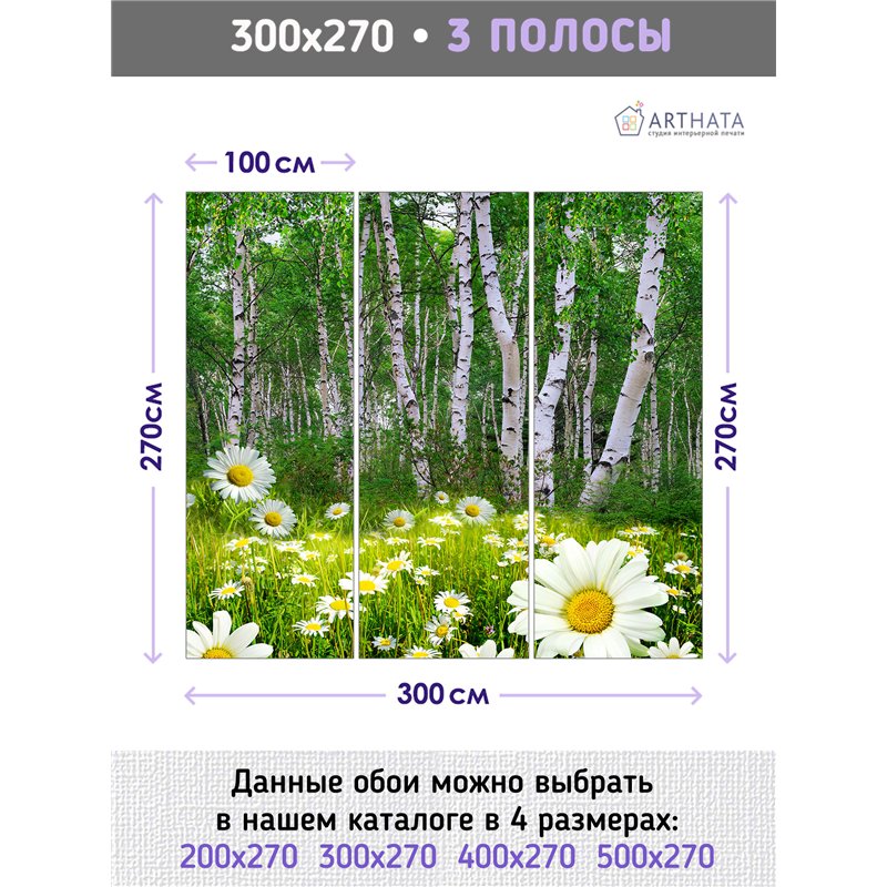 Фотообои ромашки в березовой роще на кухню моющиеся 300х270