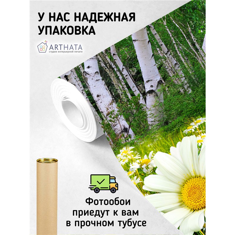 Фотообои ромашки в березовой роще на кухню моющиеся 300х270