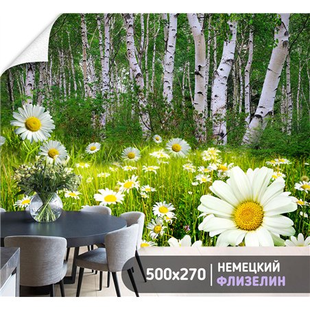 Фотообои ромашковое поле и березы в зал флизелиновые 500х270