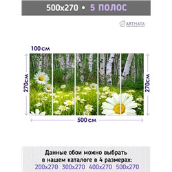 Фотообои ромашковое поле и березы в зал флизелиновые 500х270