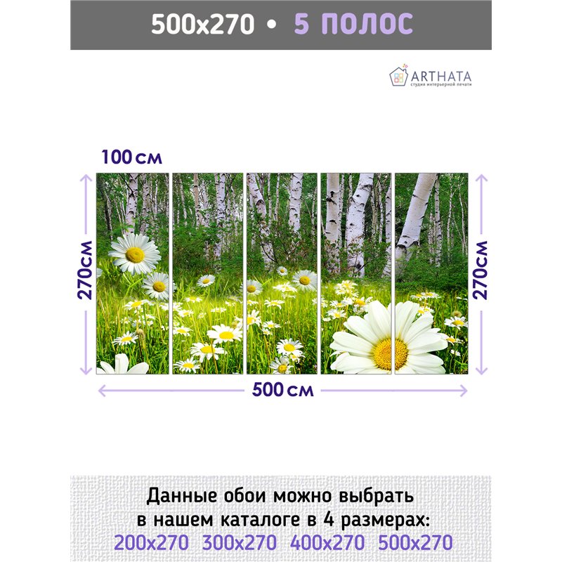 Фотообои ромашковое поле и березы в зал флизелиновые 500х270