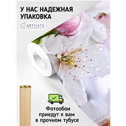 Фотообои цветущая яблоня в росе на кухню 200х270