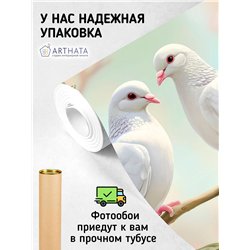 Фотообои 3D белые голуби в саду 500х270