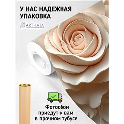Фотообои 3D панорамные Персиковая Роза с узорами 500x270