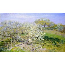 Картина на холсте по фото Модульные картины Печать портретов на холсте Цветущие яблони
