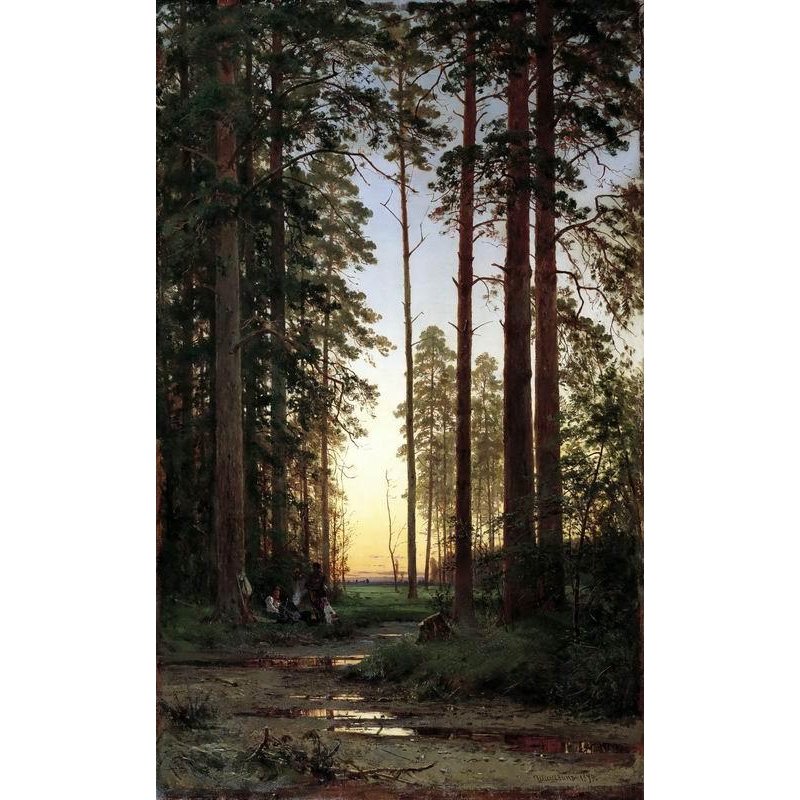 Опушка леса