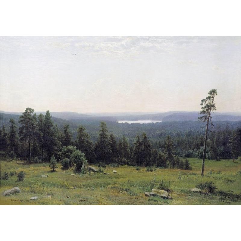 Лесные дали