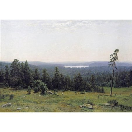 Лесные дали