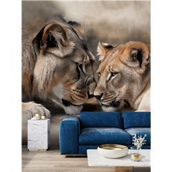 Фреска на стену Песочный лев и львица для кухни 500x270
