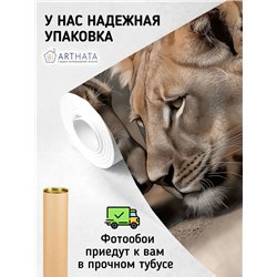 Фреска на стену Песочный лев и львица для кухни 500x270