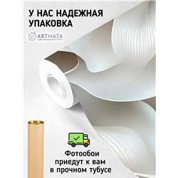 Фотообои 3D Плавные линии и волны в белых тонах 400х270 см