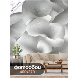 Фотообои 3D Объемные белые цветы с графикой 400х270