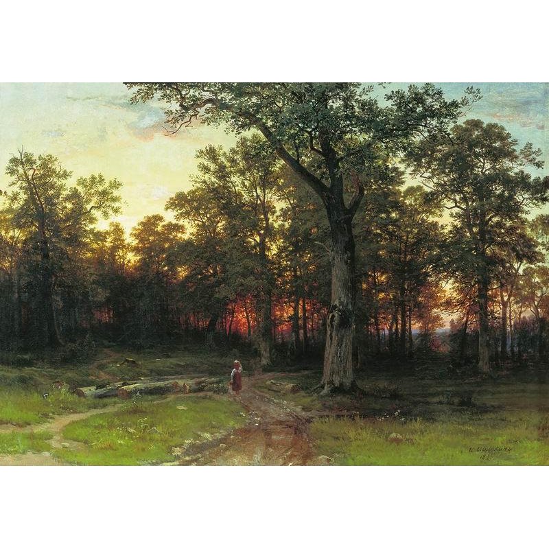 Вечерний лес