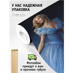 Фотообои в детскую сказка Золушка 500x270