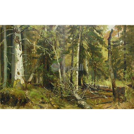 Бурелом