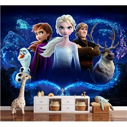 Фотообои в детскую холодное сердце герои Disney 500x270