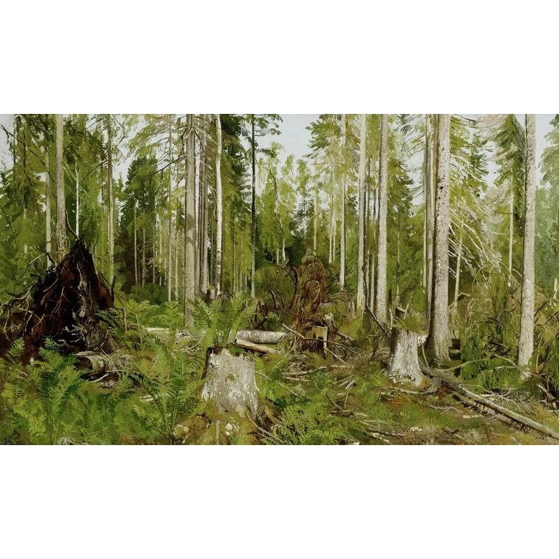 Сосновый лес