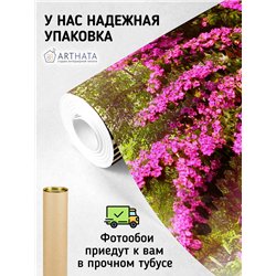 Фотообои на стену - Арки и улочки. Обои для гостиной, для кухни, для спальни. Размер - 200x270 см