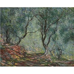 Оливковые деревья в саду в Морено - Модульная картины, Репродукции, Декоративные панно, Декор стен