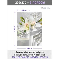 Фотообои для интерьера - 200х270см из 2х полос. Обои для стен, оформление спальни, детской комнаты, кухни, гостинной.
