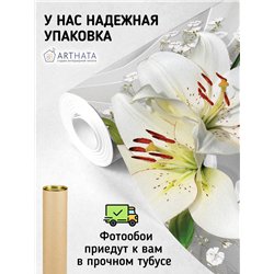 Фотообои для интерьера - 200х270см из 2х полос. Обои для стен, оформление спальни, детской комнаты, кухни, гостинной.