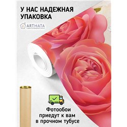 Фотообои для интерьера - 300х270см из 3х полос. Обои для стен, оформление спальни, детской комнаты, кухни, гостинной.
