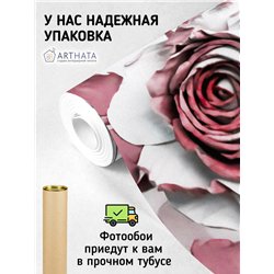 Фотообои для интерьера - 300х270см из 3х полос. Обои для стен, оформление спальни, детской комнаты, кухни, гостинной.