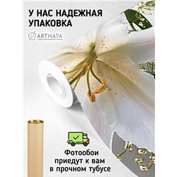 Фотообои для интерьера - 300х270см из 3х полос. Обои для стен, оформление спальни, детской комнаты, кухни, гостинной.