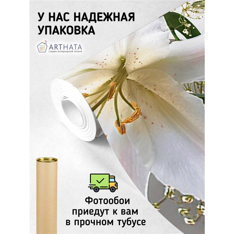 Фотообои для интерьера - 300х270см из 3х полос. Обои для стен, оформление спальни, детской комнаты, кухни, гостинной.