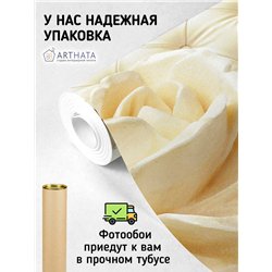 Фотообои для интерьера - 200х270см из 2х полос. Обои для стен, оформление спальни, детской комнаты, кухни, гостинной.