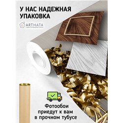 Фотообои для интерьера - 500х270см из 5и полос. Обои для стен, оформление спальни, детской комнаты, кухни, гостинной.