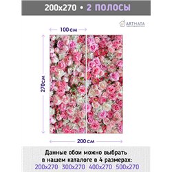 Фотообои для интерьера - 200х270см из 2х полос. Обои для стен, оформление спальни, детской комнаты, кухни, гостинной.