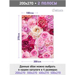 Фотообои для интерьера - 200х270см из 2х полос. Обои для стен, оформление спальни, детской комнаты, кухни, гостинной.