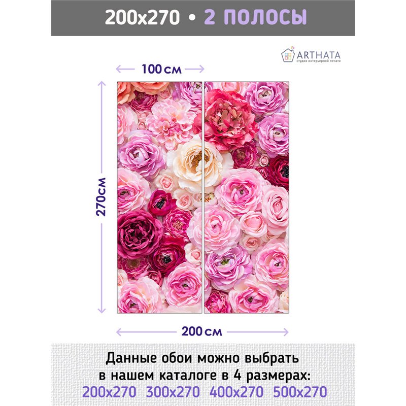 Фотообои для интерьера - 200х270см из 2х полос. Обои для стен, оформление спальни, детской комнаты, кухни, гостинной.
