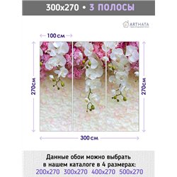 Фотообои для интерьера - 300х270см из 3х полос. Обои для стен, оформление спальни, детской комнаты, кухни, гостинной.