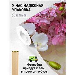 Фотообои для интерьера - 500х270см из 5и полос. Обои для стен, оформление спальни, детской комнаты, кухни, гостинной.