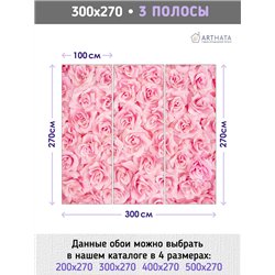 Фотообои для интерьера - 300х270см из 3х полос. Обои для стен, оформление спальни, детской комнаты, кухни, гостинной.