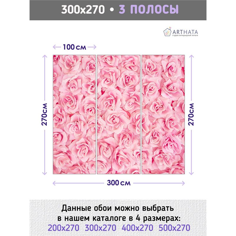 Фотообои для интерьера - 300х270см из 3х полос. Обои для стен, оформление спальни, детской комнаты, кухни, гостинной.