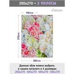 Фотообои для интерьера - 200х270см из 2х полос. Обои для стен, оформление спальни, детской комнаты, кухни, гостинной.