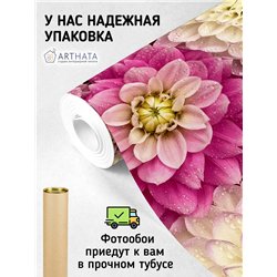 Фотообои для интерьера - 500х270см из 5и полос. Обои для стен, оформление спальни, детской комнаты, кухни, гостинной.