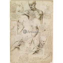 Репродукция 40621